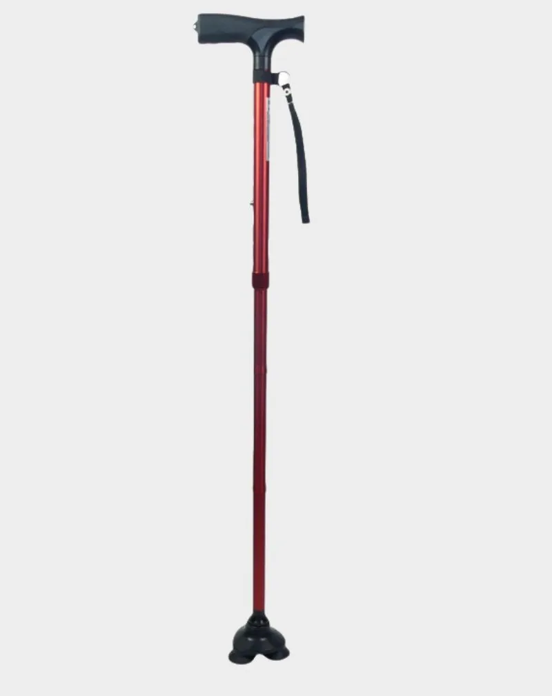 canne stabilicane