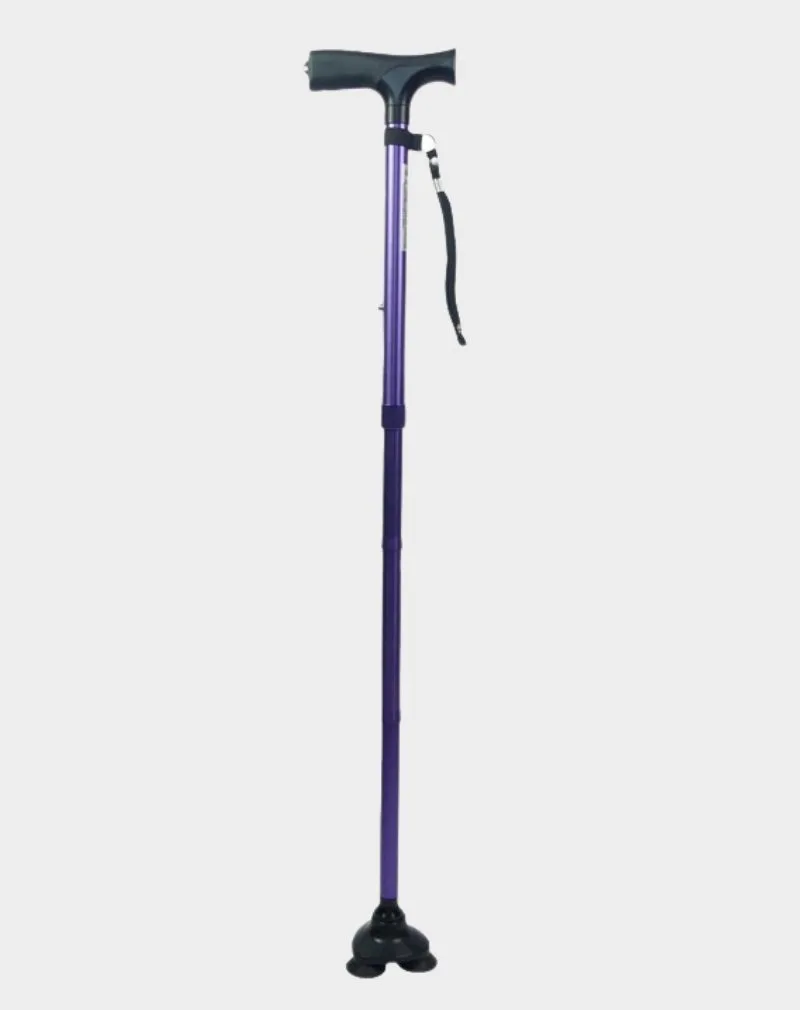 canne stabilicane