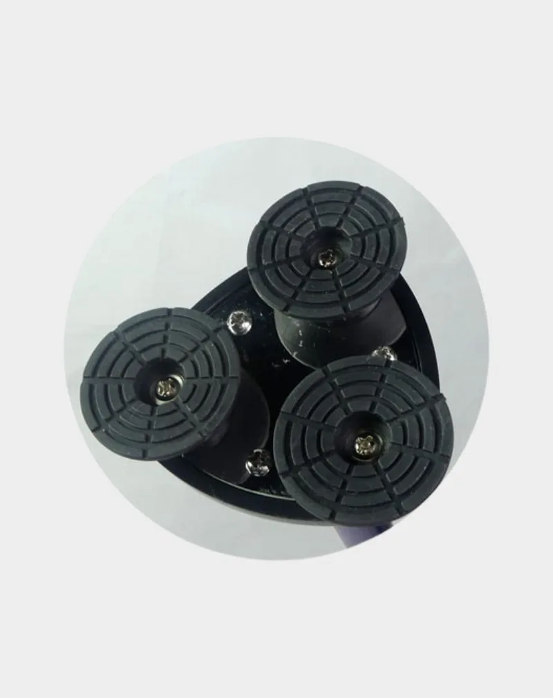 canne stabilicane