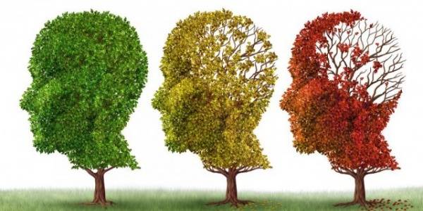 Alzheimer : les mesures et le bienfait des couleurs