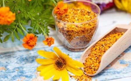 Les bonnes vertus du pollen