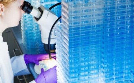 Une nouvelle molécule contre les cellules cancéreuses