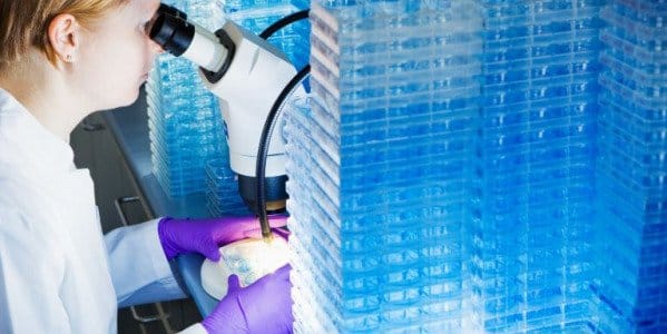 Une nouvelle molécule contre les cellules cancéreuses
